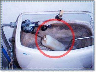 オーバーフロート管の交換イメージ